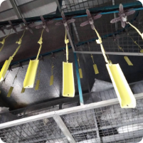 Electrostatic Powder Coating Electrostatic Powder Coating 1